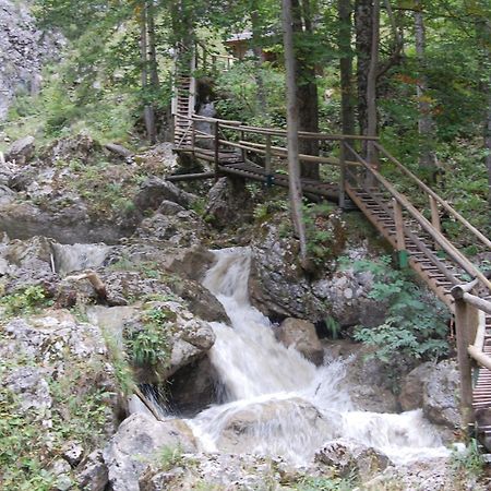 Apartments Am Kirchkogel "Laendliche Entspannung Im Herzen Der Steiermark" Pernegg an der Mur 外观 照片