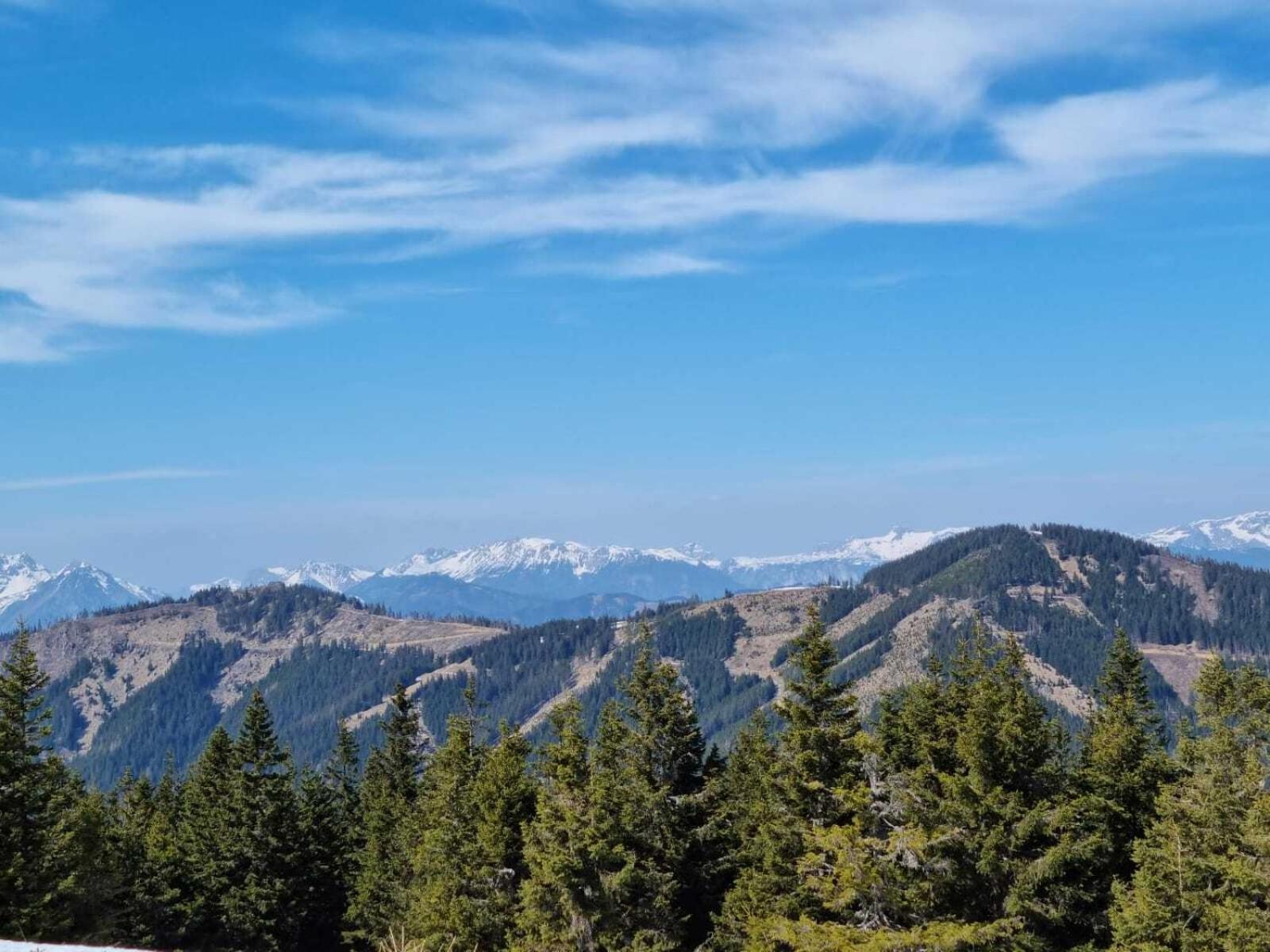 Apartments Am Kirchkogel "Laendliche Entspannung Im Herzen Der Steiermark" Pernegg an der Mur 客房 照片